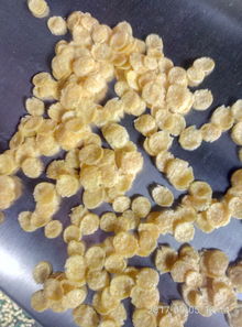 供應(yīng)谷物膨化新利器 2mm-50mm圓球膨化機(jī)批發(fā)銷(xiāo)售全解析