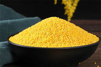 金佳谷物 優(yōu)質(zhì)谷物的匠心銷(xiāo)售與全產(chǎn)業(yè)鏈服務(wù)